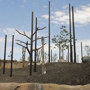 Islands by Boat - the open Orang Enclosure