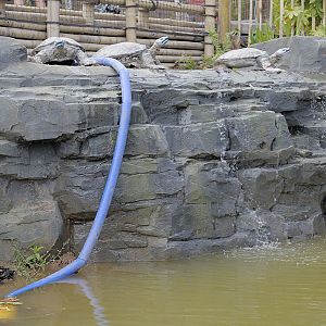 Islands by Boat - Turtle Waterfall