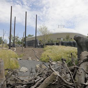 Islands by Boat - Celebes Macaque Enclosure