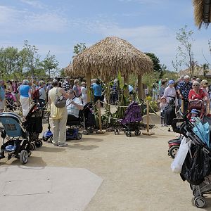 Islands by Boat - Lazy River Trip Buggy Park