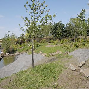 Islands on Foot - Anoa Paddock