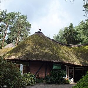 Entrance Building and Gift Shop with Wild Stork