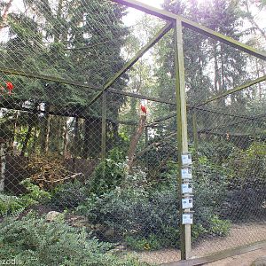 Aviary near the Entrance