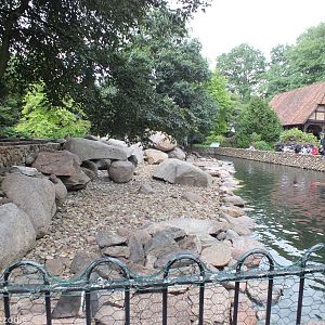 Half of the Penguin Enclosure