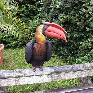 Bench with a Hornbill
