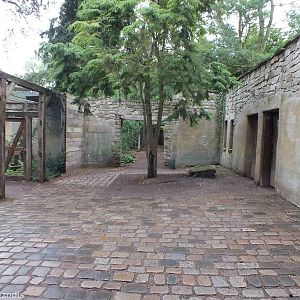 View Inside 'Uhu-Burg'