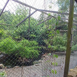 Wader Aviary that can be seen from 'Uhu-Burg'