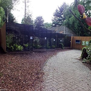 Birds of Paradise Aviaries
