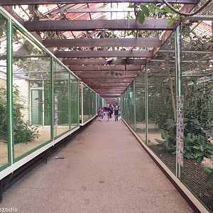 Aviaries in 'Paradies-Halle'