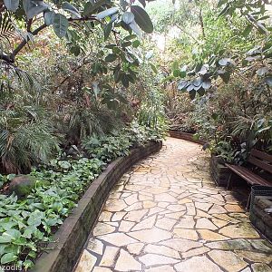 Walkthrough Tropical Section of 'Paradies-Halle