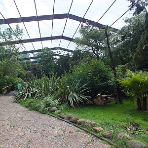 View of the Free-flight Hall