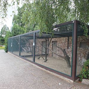 Kea Enclosure