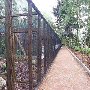 'Off-show' Aviaries