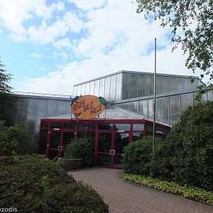 Rainforest Hall Entrance