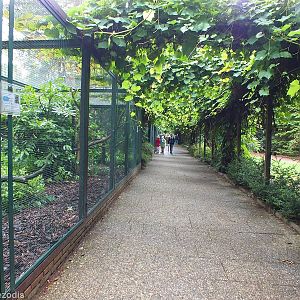 View of the Pheasantry