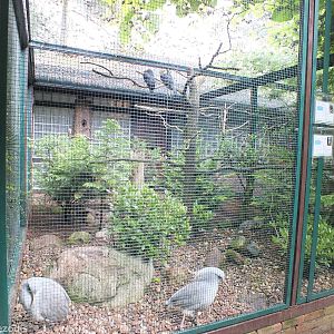 A Fairly Typical Enclosure