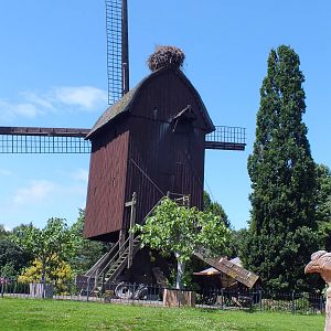 Windmill with Wild Stork Nest on top