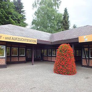 The Baby Bird Building