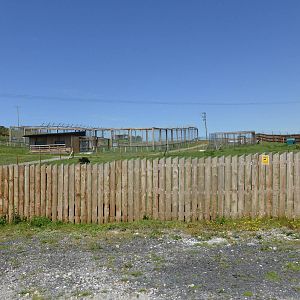 View of part of extension .