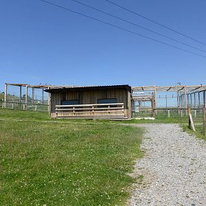 New , unused , Lion House and enclosure in extension area .