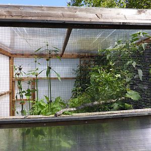 Tropical aviary with plenty of cover .