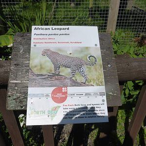 Example of new signs .