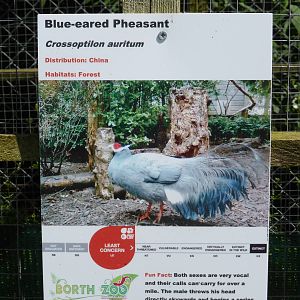 Example of new signs .