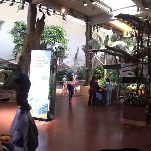 The newly renovated Koret-Taube South American tropical rainforest building