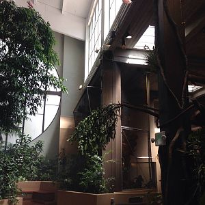 Eastern portion of the building. Behind the pillar is a netted habitat for