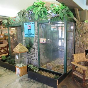 Discovery Center - Green Aracari Exhibit (Glass Box)