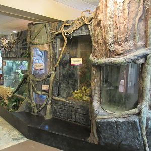 Discovery Center - Empty Terrariums