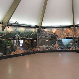 Discovery Center - Living Wall Terrariums