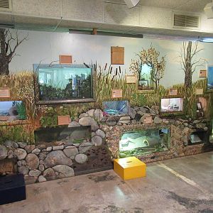 Discovery Center - Assorted Terrariums