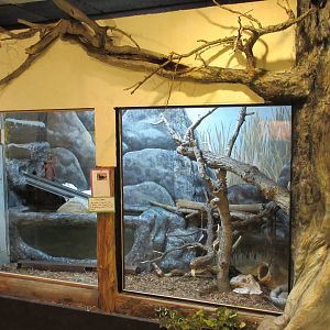 Discovery Center - Mink Exhibit