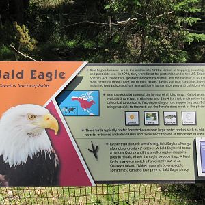 Bald Eagle Exhibit - Sign