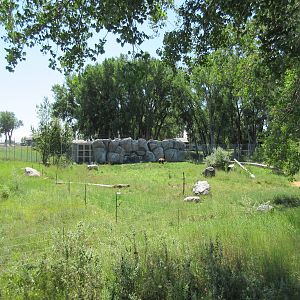 Grizzly Bear Exhibit