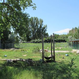Grizzly Bear Exhibit
