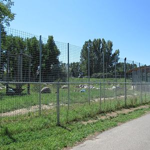 Grizzly Bear Exhibit