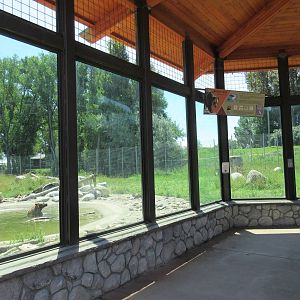 Grizzly Bear Exhibit