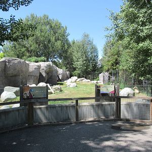 Bighorn Sheep Exhibit