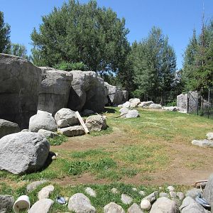 Bighorn Sheep Exhibit
