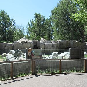 Bighorn Sheep Exhibit