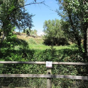 Sika Deer Exhibit (currently empty)