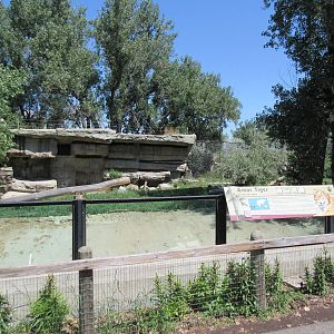 Amur Tiger Exhibit