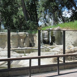 North American River Otter Exhibit