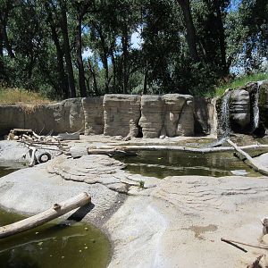 North American River Otter Exhibit