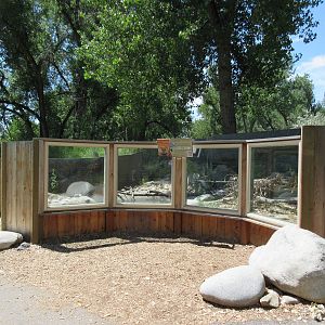 American Beaver Exhibit - New in 2012