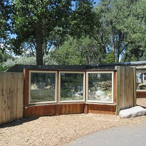 American Beaver Exhibit - New in 2012