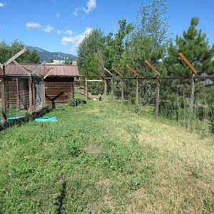 Sandhill Crane Exhibit