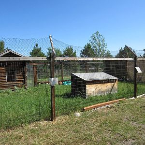 Sandhill Crane Exhibit